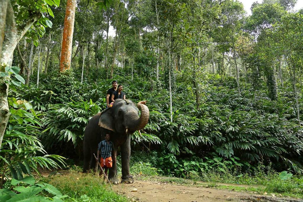 Elephant Court Thekkady Exterior foto